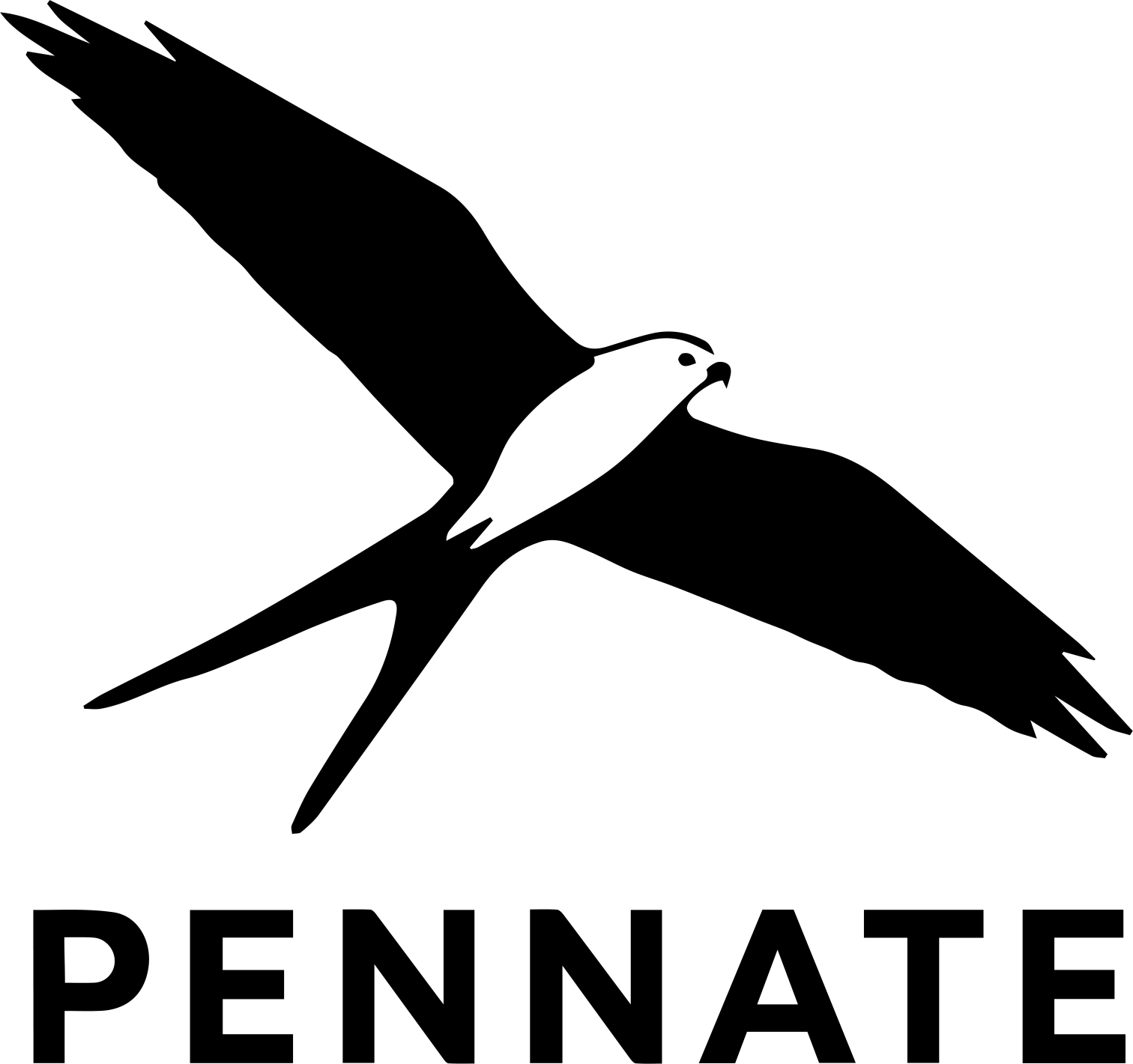 	Pennate logo showing swallow-tailed kite in flight