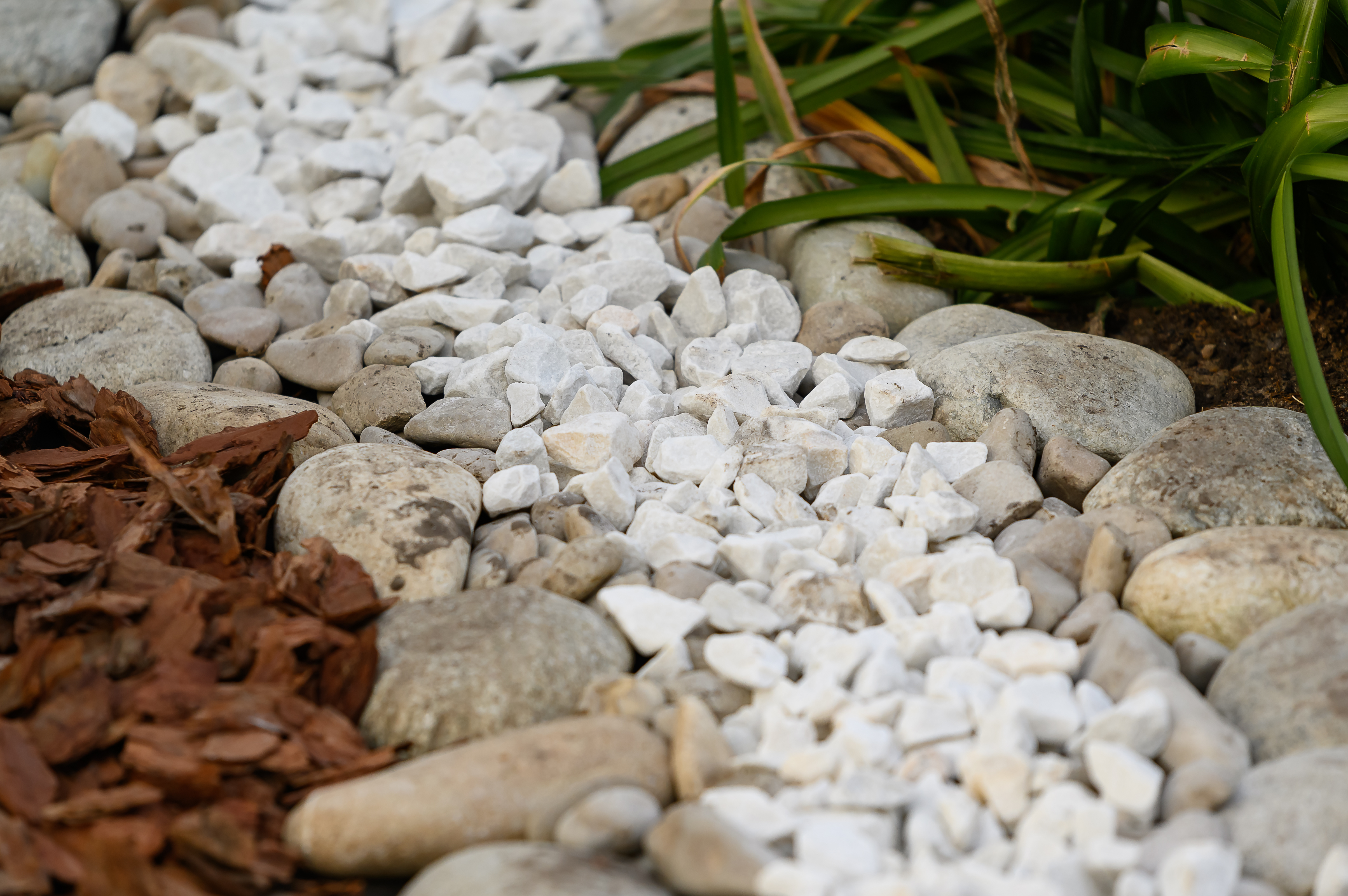 Rock vs Mulch in Florida: 11 Key Facts Before You Decide