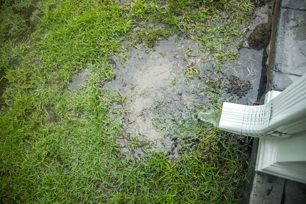 Downspout draining rainwater onto lawn causing flooding near house foundation highlighting the importance of Florida yard drainage.
