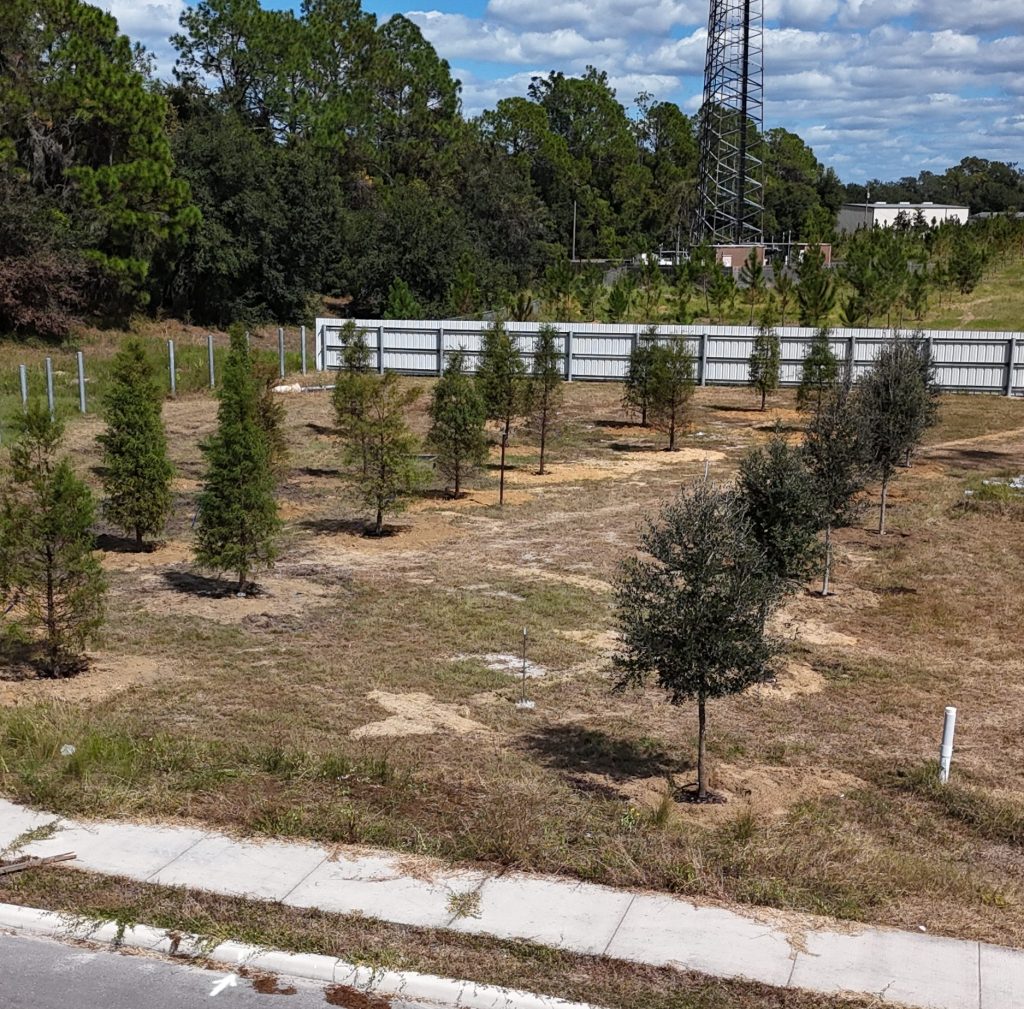 Large-scale tree installation on an industrial site prior to final grading and landscape restoration