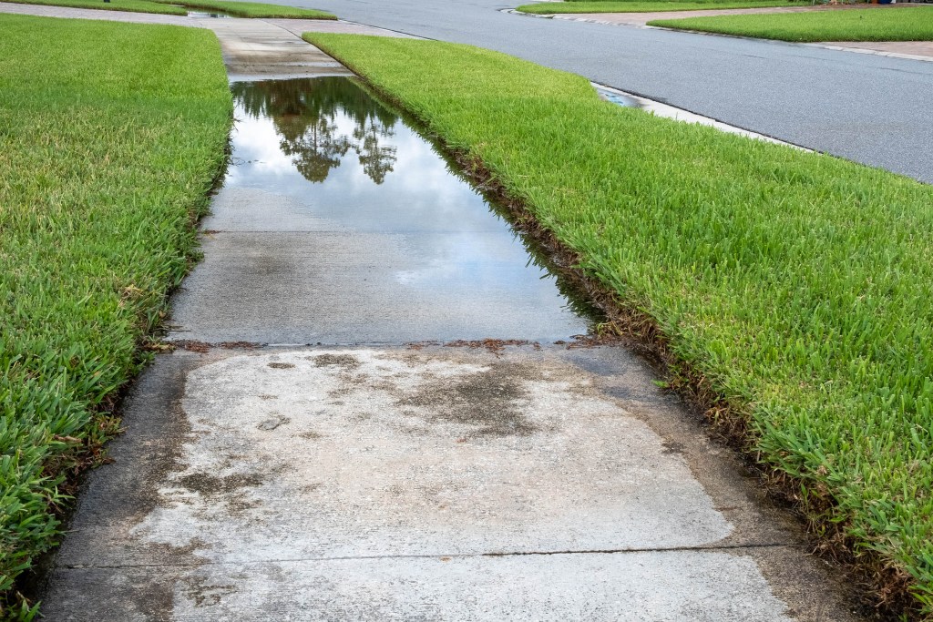 Standing water on a residential sidewalk after rainfall, evaluated during a drainage assessment to determine grade and surface flow issues