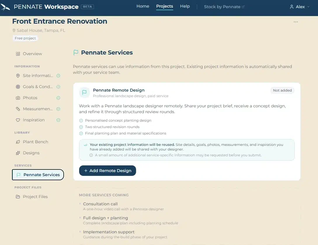 Pennate Workspace Pennate Remote Design service available inside a Workspace project